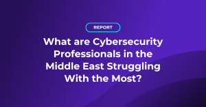 What are cybersecurity professionals in the Middle East struggling with the most?