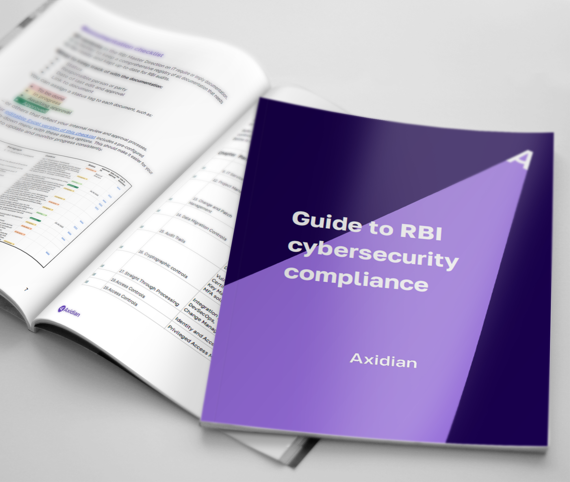 rbi-compliance-guide